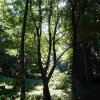 09 a vom Himmelreich zur Teufelsklinge